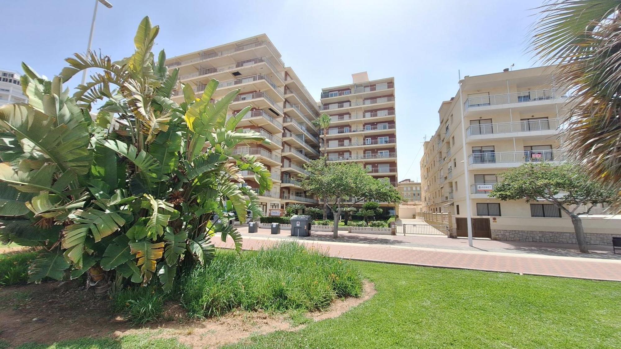 Gandia Primera Linea Caracola Beach View ภายนอก รูปภาพ